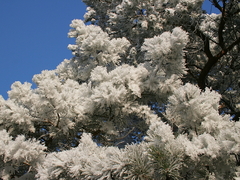 Killikus&reg; Fotographie